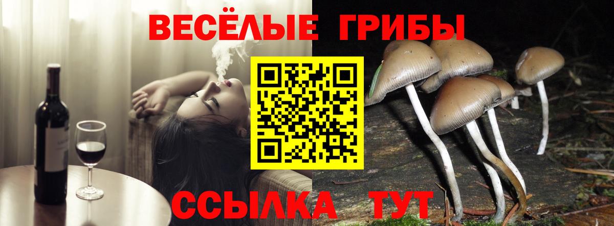 Псилоцибиновые грибы мухоморы  Вход с VPN  Нововоронеж 